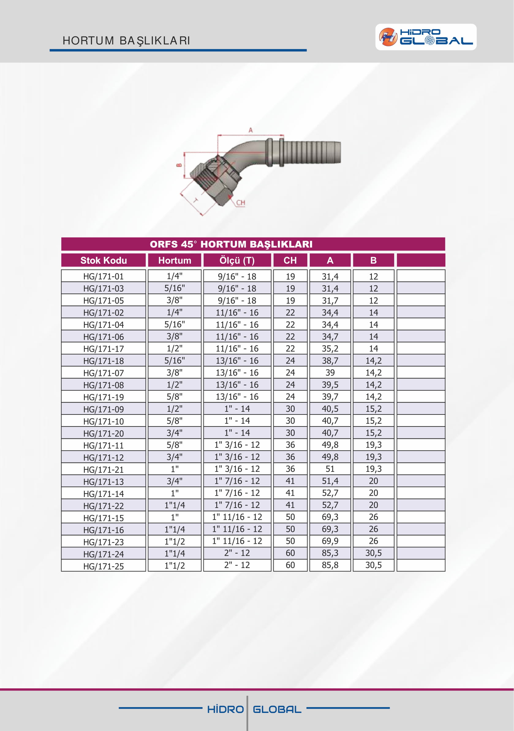 ORFS 45 HORTUM BAŞLIKLARI